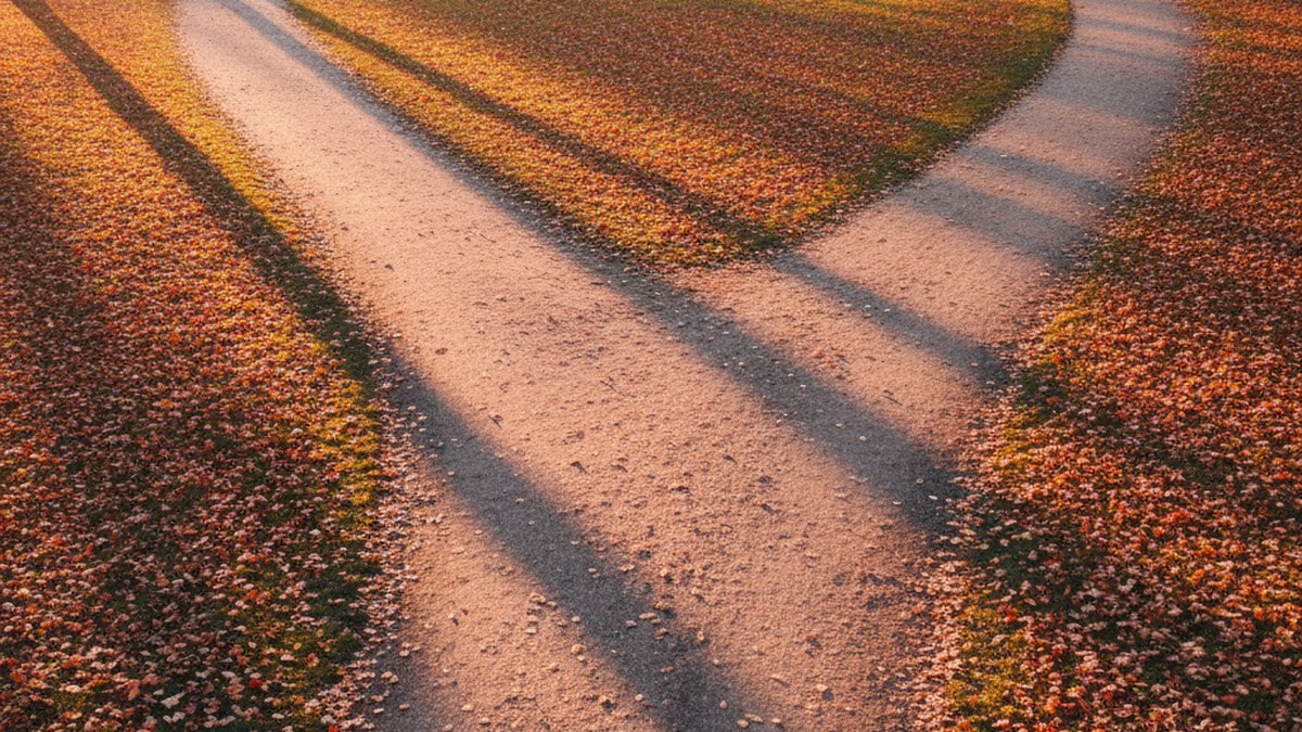 Winding autumn park path splitting into two diverging directions representing a relationship decision point